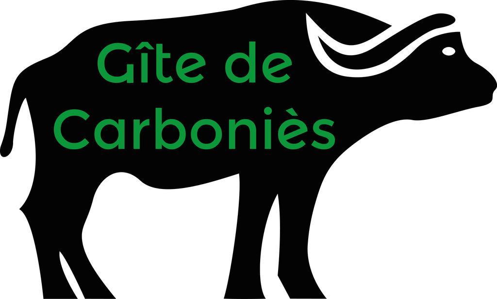 Gite de Carboniès Saint-Félix-de-Lunel Extérieur photo